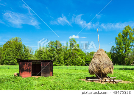 Landscape with haystack in the Spreewald area Landscape with haystack in the Spreewald area 48475538