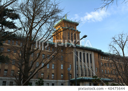 Tower of Yokohama King Tower of Yokohama King 48475644