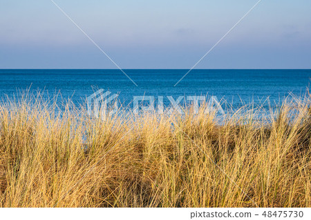 Baltic Sea coast in Graal Mueritz, Germany 48475730