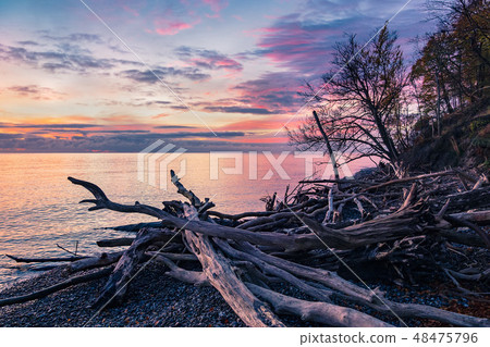 Baltic Sea coast on the island Moen in Denmark Baltic Sea coast on the island Moen in Denmark 48475796
