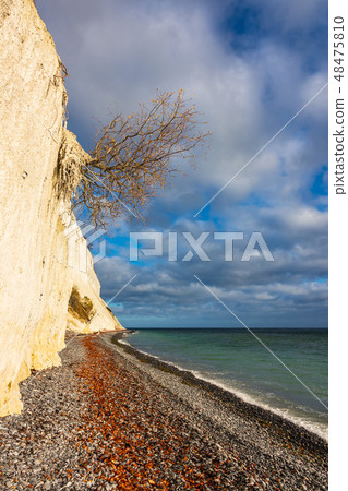 Baltic Sea coast on the island Moen in Denmark Baltic Sea coast on the island Moen in Denmark 48475810