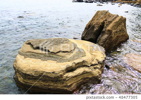 化石，分層貝類化石，西歸浦， 48477305