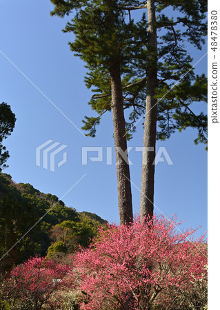 熱海廣場 48478380