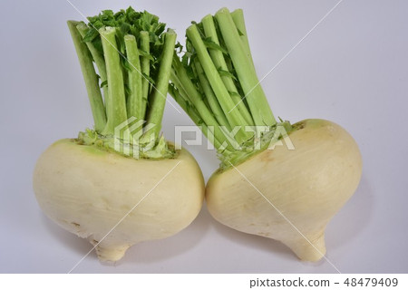 Pungent radish 48479409