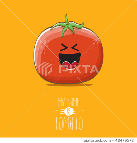 vector funny cartoon cute red tomato character isolated on orange background. My name is tomato 48479578