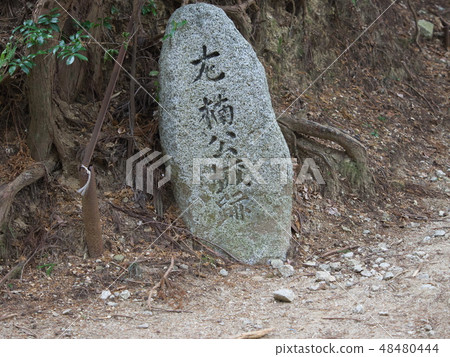 Mt. Kumgang Chihayamichi 48480444