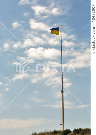 Flag of Ukraine waving in the wind 48481007