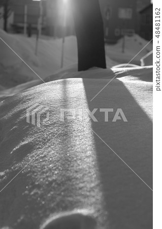 snow          48481162