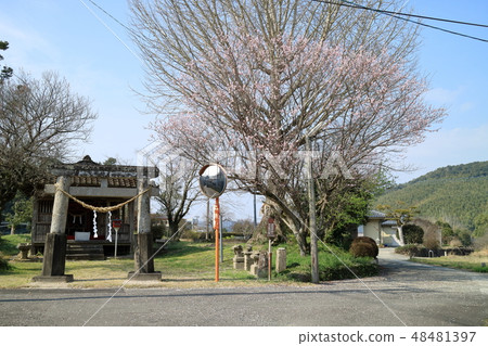 Sugawara Shrine Sugawara Shrine 48481397