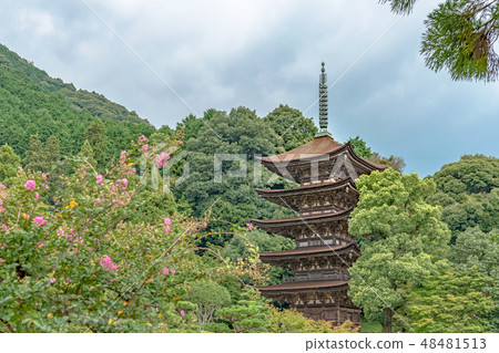Rurikkoji National Treasury Five-storied pagoda Rurikkoji National Treasury Five-storied pagoda 48481513
