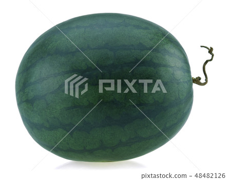 Watermelon isolated on white background. 48482126