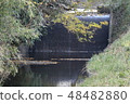 Waterfall 48482880
