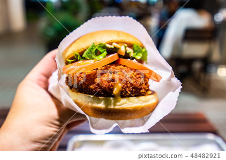 burger, hamburger, lettuce 48482921