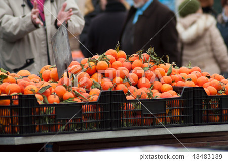 oranges fruits at the market oranges fruits at the market 48483189