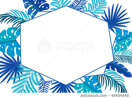 Summer Vector floral abstract leaves frame tropical palm with place for text. color design elements 48484848