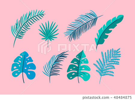 Set of vector isolated flat leaves palm, exotic on pink background. Summer scandinavian hand drawn Set of vector isolated flat leaves palm, exotic on pink background. Summer scandinavian hand drawn 48484875