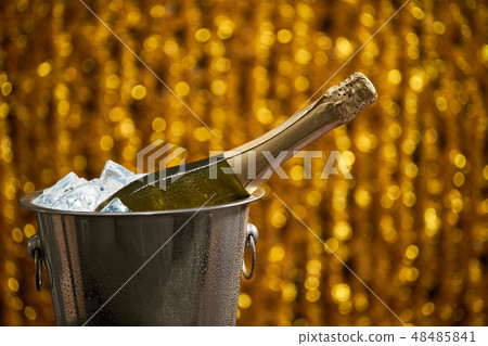 Bottle of champagne in a bucket with ice Bottle of champagne in a bucket with ice 48485841