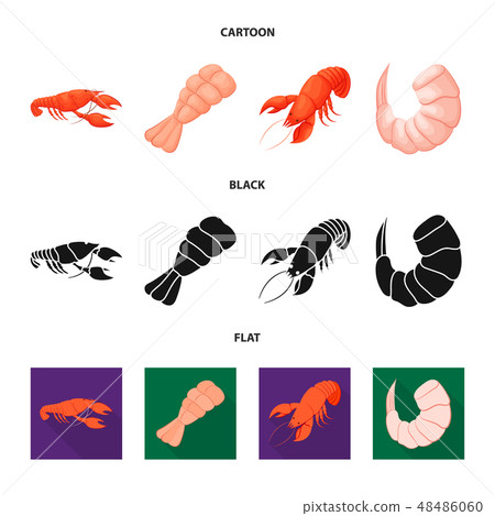 Vector illustration of appetizer and ocean icon. Set of appetizer and delicacy stock symbol for web. 48486060