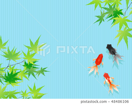 Goldfish   48486106