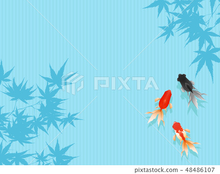 Goldfish Goldfish 48486107