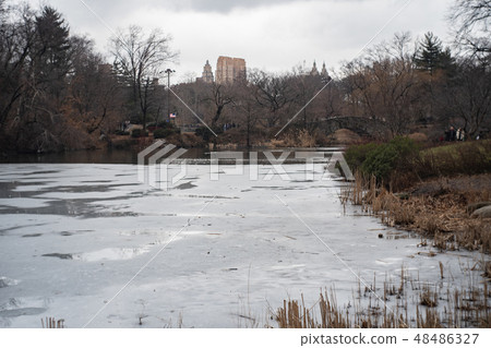 Frozen lake Winter's New York Central Park 48486327