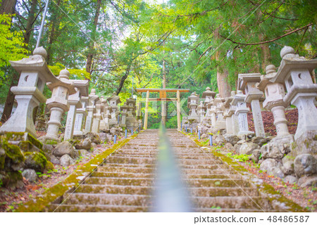 Look up at the stone steps 48486587