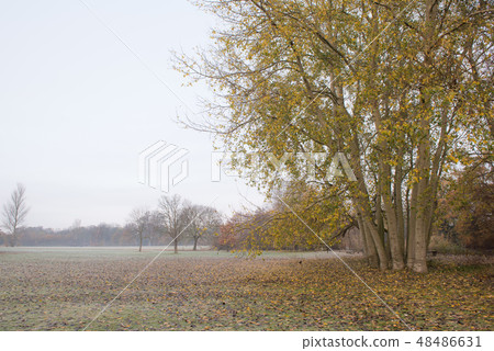 冬天倫敦英國 48486631