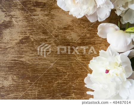 Peonies flowers on a wooden background. 48487014