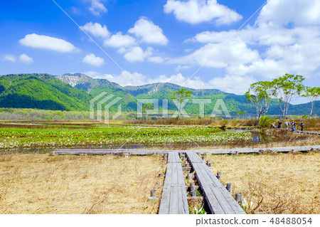 Oze Marsh, Mizunabasho and Sendo 48488054