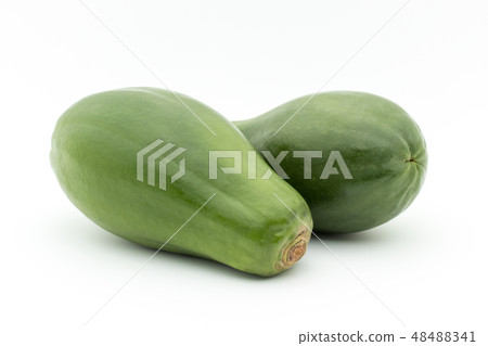 青木瓜藍色番木瓜：綠色番木瓜 48488341