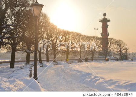 Spit of Vasilievsky island and Rostral column. 48488974