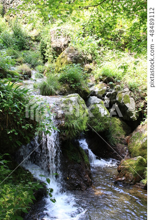 Landscape in the valley 48489112