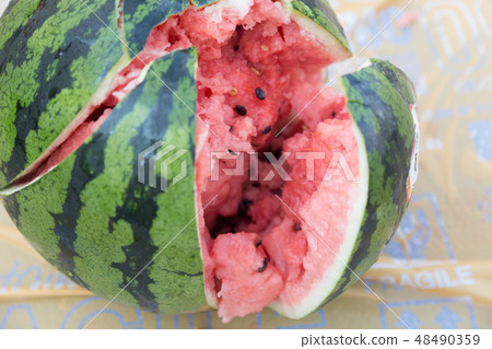 被西瓜分裂打破的西瓜 48490359