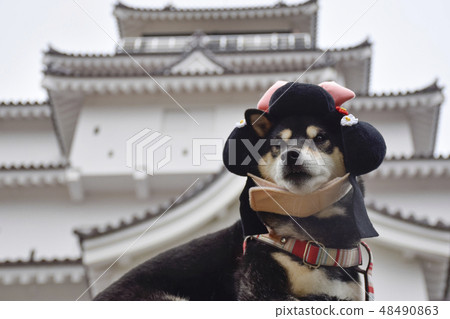 黑竹爆破 48490863