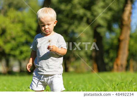 Little child holding a flower in the hand Little child holding a flower in the hand 48492234