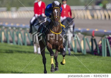 Tokyo Racecourse # 8 48492459