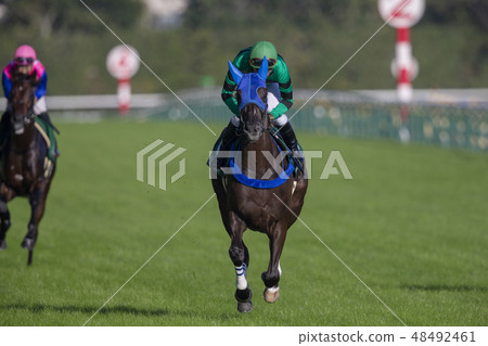 東京賽馬場＃10 48492461