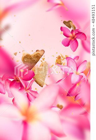 Post card flying pink frangipani flower petals 48493151