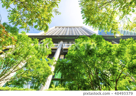 許多綠色辦公室街道風景 許多綠色辦公室街道風景 48493379