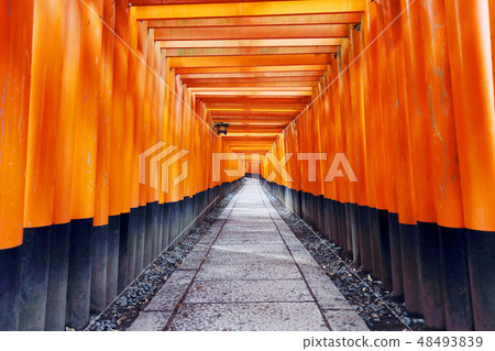 Kyoto Fushimi Inari Taisha 48493839