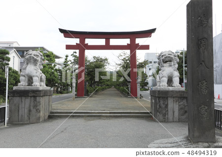 鶴岡八幡宮 鶴岡八幡宮 48494319
