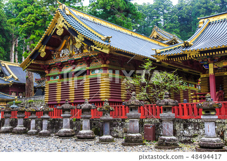 新鮮的綠色日光東照宮世界遺產[日光市，栃木縣] 48494417