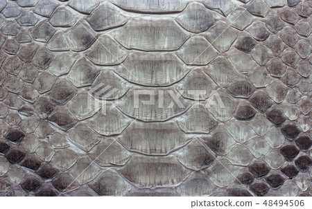 Snake leather as a background or texture. Snake leather as a background or texture. 48494506