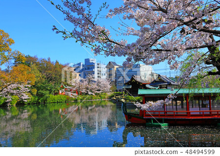 Law setting pond which got dyed in spring color Law setting pond which got dyed in spring color 48494599