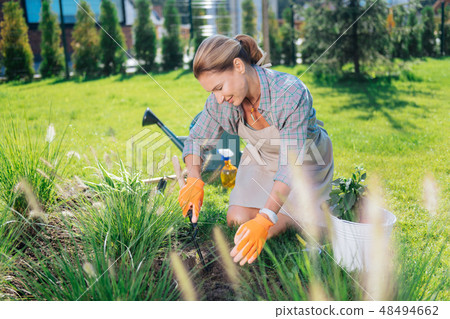 Appealing family woman sitting on her knees while grubbing up weeds 48494662