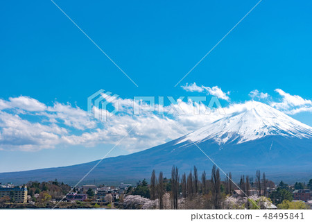 富士山河口湖盛開櫻花春天形象山梨縣 48495841