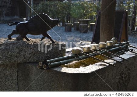 Kyoto · Zen-in Kyoto · Zen-in 48496208