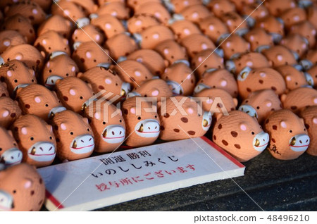 Kyoto · Zen-in 48496210