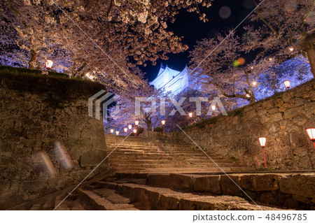 Hsuruyama公園夜景 48496785