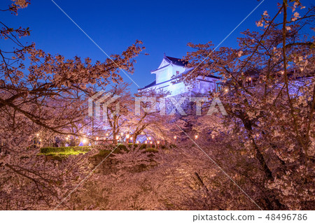 Hsuruyama公園夜景 Hsuruyama公園夜景 48496786